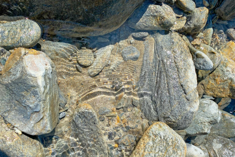 Wasserspiegelungen in einem Gebirgsbach in Südtirol